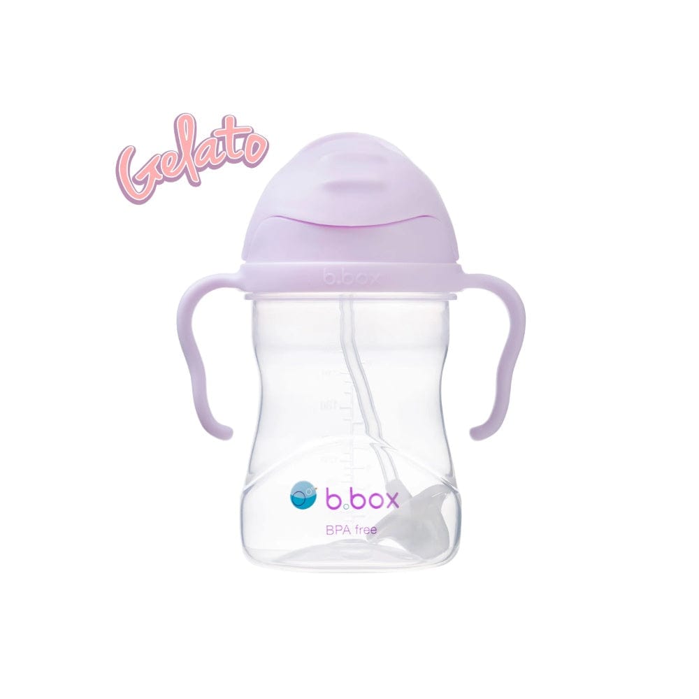 B.box Sippy Straw Cup 240 ml - Boysenberry By BBOX Canada - 84527