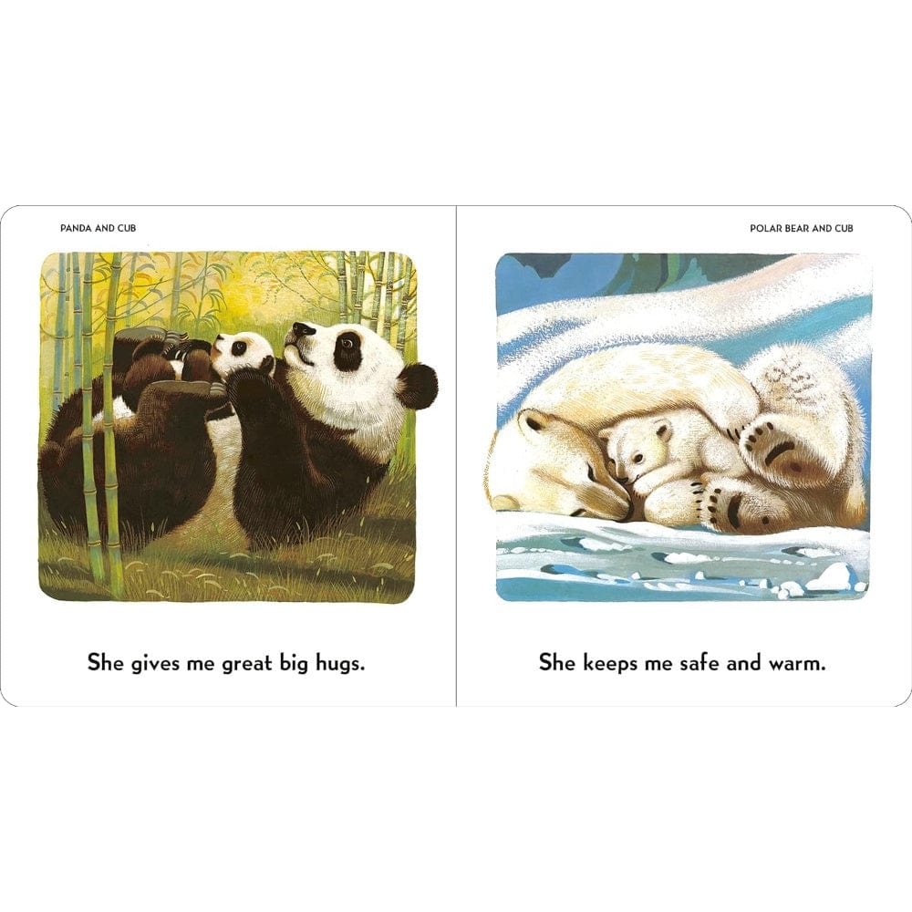 I Love My Mommy Because Board Book By PENGUIN HOUSE Canada - 84734