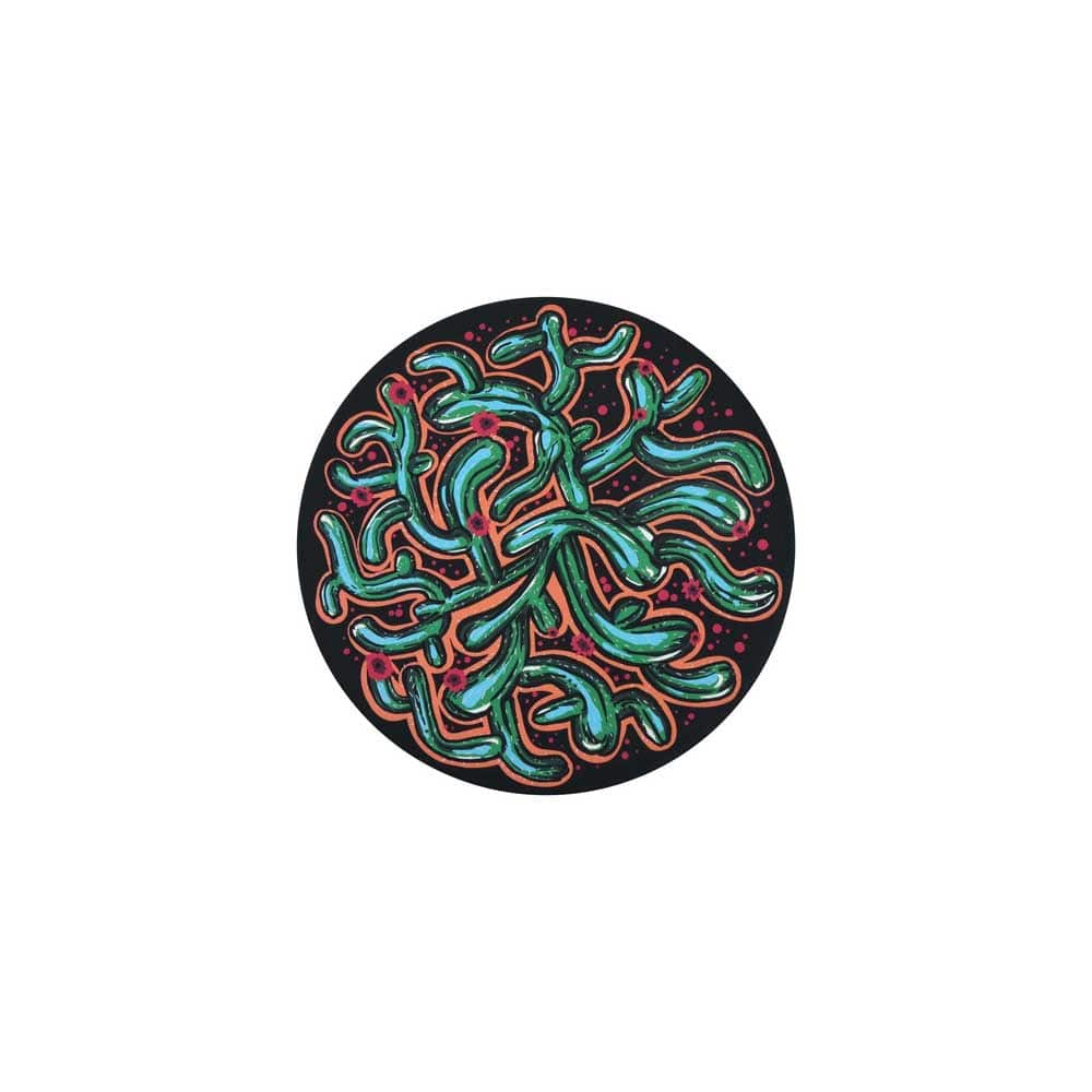 CACTUS Waboba Wingman Silicone Flying Disc - Artist Series By WABOBA Canada - 65616