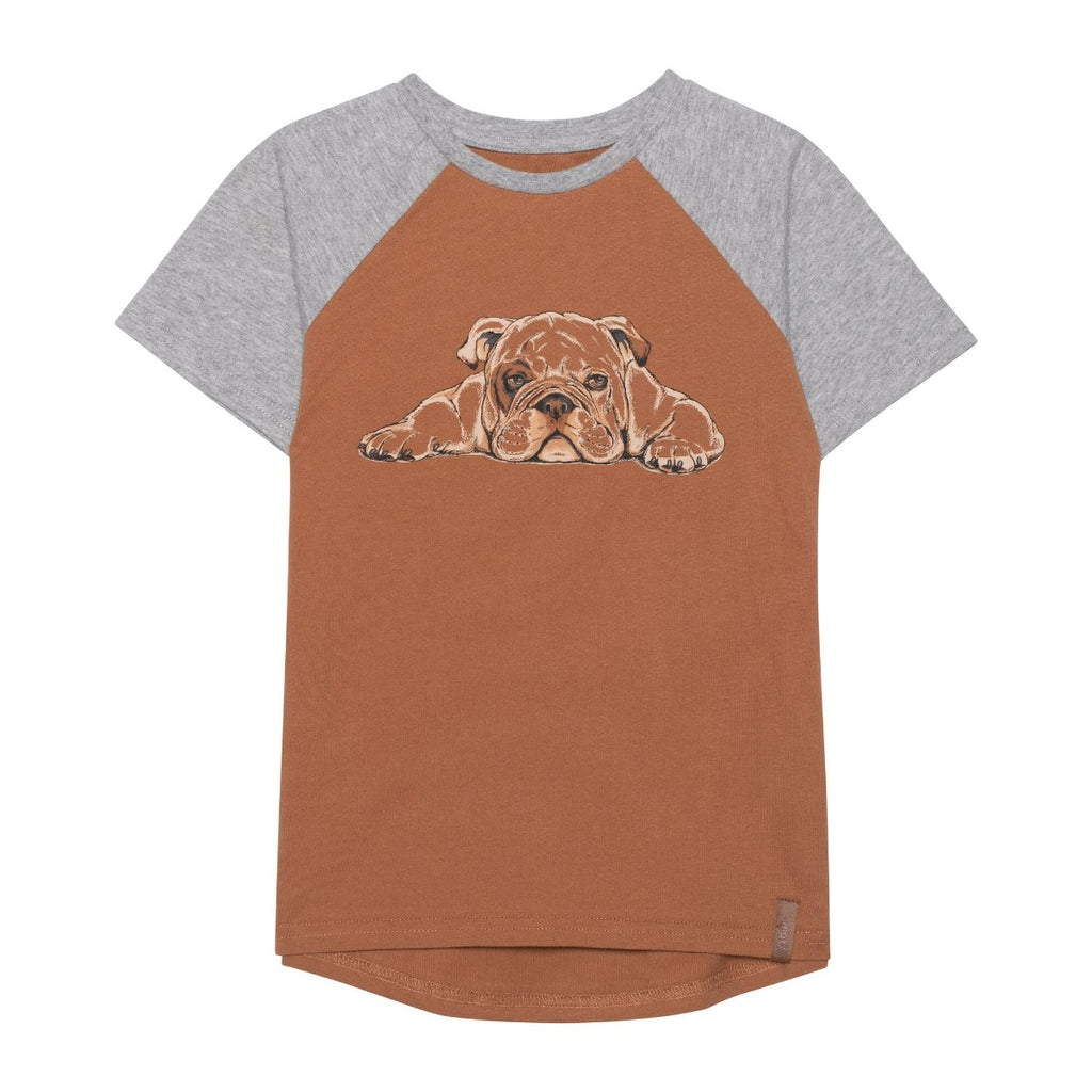 Deux Par Deux Bulldog T-Shirt - Mocha Bisque By DEUX PAR DEUX Canada -