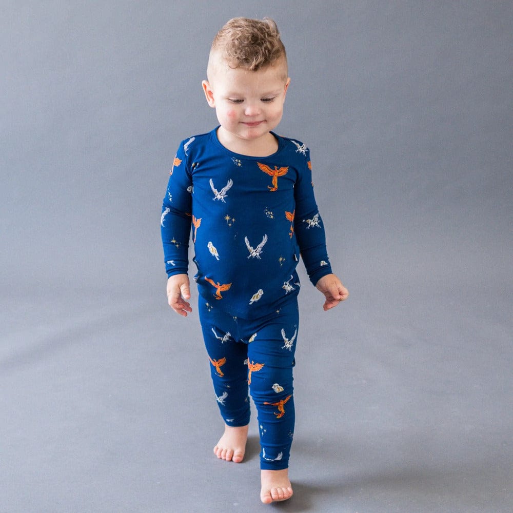 Kyte Baby Toddler Pajama Set - Flight By KYTE BABY Canada -